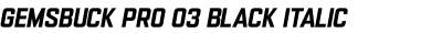 Gemsbuck Pro 03 Black Italic